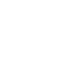 Bristol City Council Logo logo